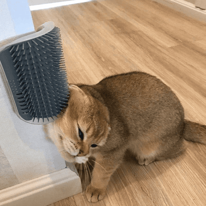 PawTrend™ - Cat Corner Self Groomer