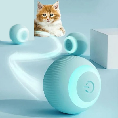 PawTrend™ - Interactive Toy for Cats