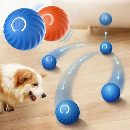 PawTrend™ - Ball Toy for Dogs and Cats