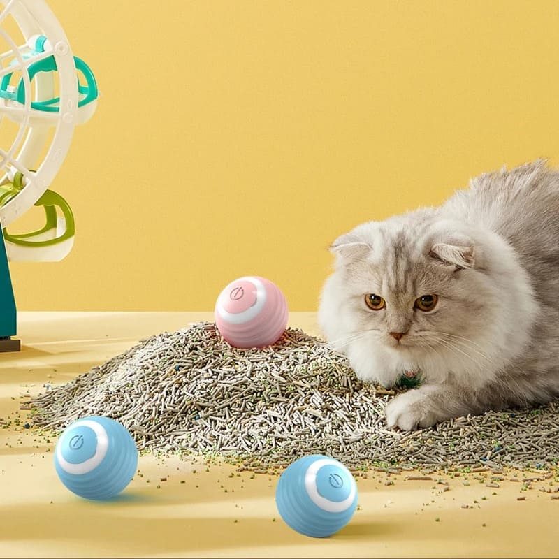 PawTrend™ - Interactive Toy for Cats