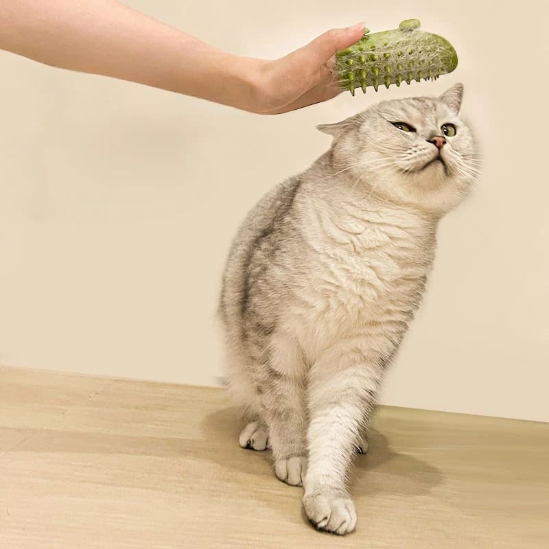 PawTrend™ - Cat Brush with Massage and Hair Removal