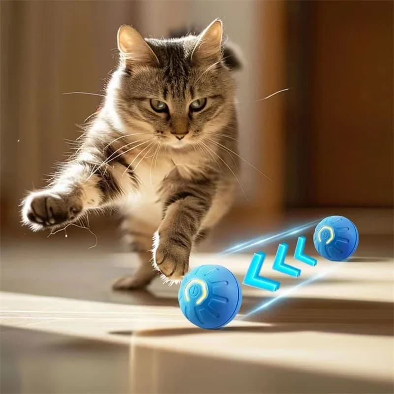 PawTrend™ - Ball Toy for Dogs and Cats