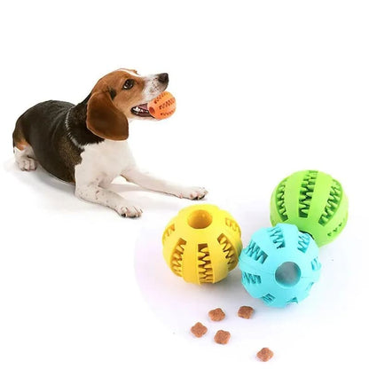 PawTrend™ - Dog Toy Ball