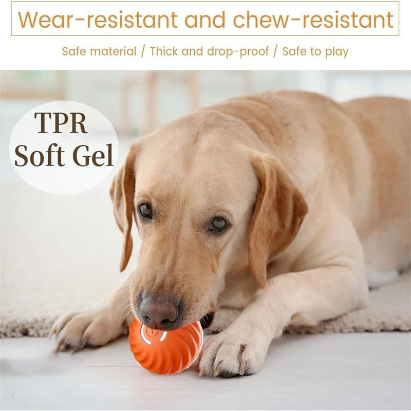 PawTrend™ - Ball Toy for Dogs and Cats