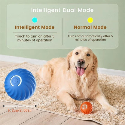 PawTrend™ - Ball Toy for Dogs and Cats