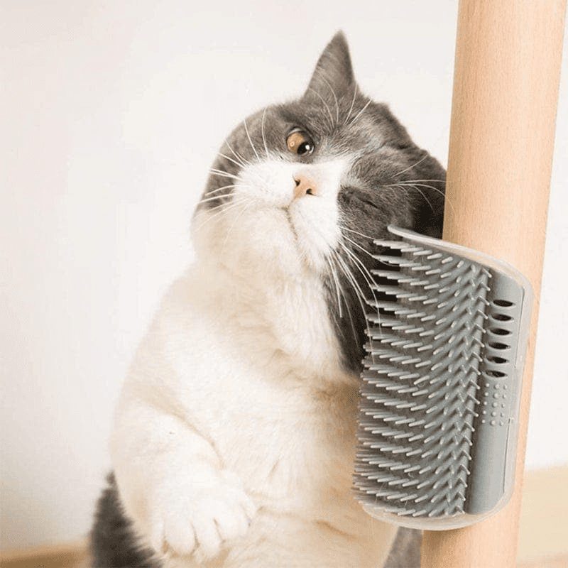 PawTrend™ - Cat Corner Self Groomer