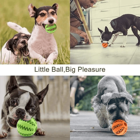 PawTrend™ - Dog Toy Ball